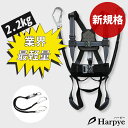 【送料無料】 新規格適合完了 Harpye 