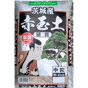 茨城産 硬質赤玉土 約1L 中粒 お試しサイズ(クロネコゆうパケット送料無料)(同梱不可) 盆栽 FIVE STARS 五つ星 多肉植物 寄せ植え サボテン サキュレント 花苗 薔薇 春蘭 茨城赤玉 盆栽土