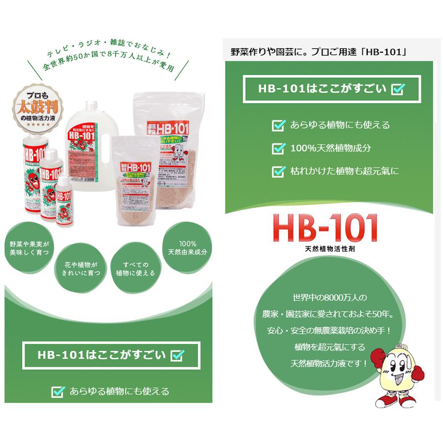 （送料無料）HB-101 1L サンプル3本付き (1000cc) 1000ml 切花 観葉植物 多肉 サボテン 果樹 ガーデニング 仏花 芝生 盆栽 家庭菜園 稲作 花木 苗 播種 HB101 3