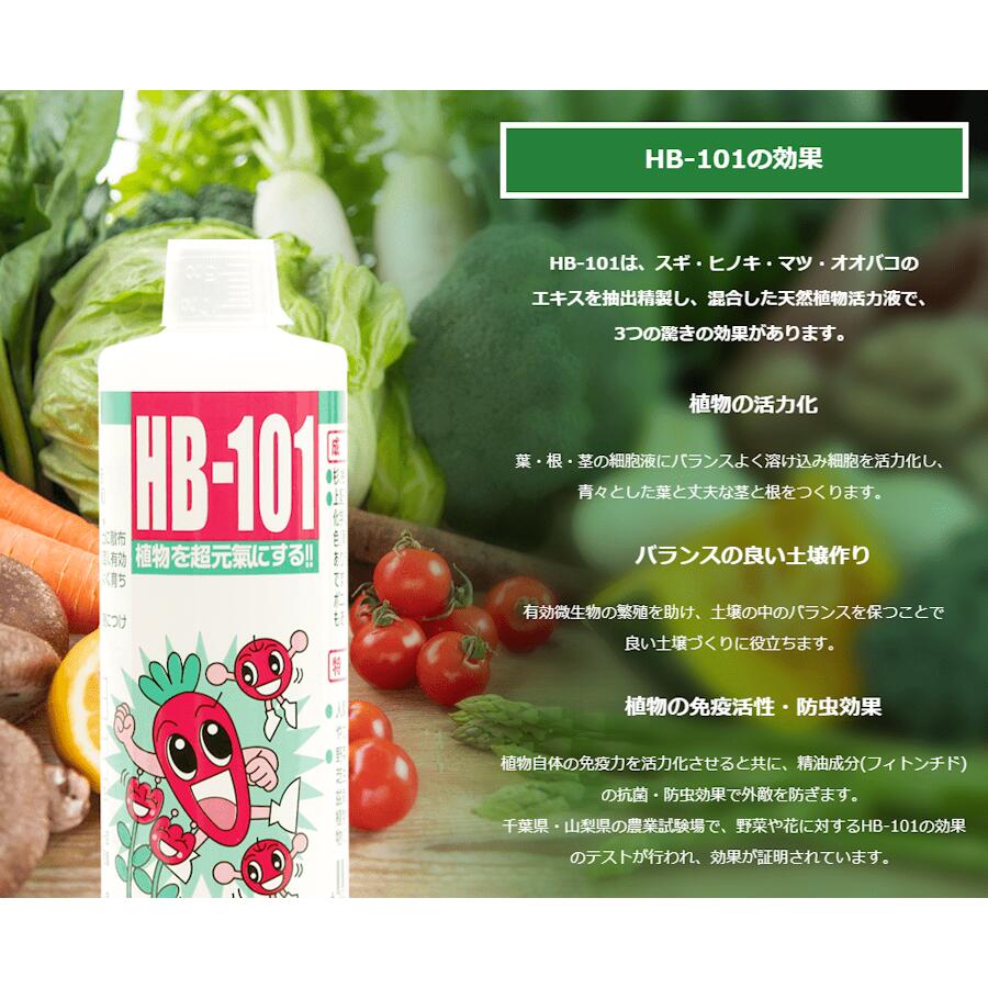 （送料無料）HB-101 1L サンプル3本付き (1000cc) 1000ml 切花 観葉植物 多肉 サボテン 果樹 ガーデニング 仏花 芝生 盆栽 家庭菜園 稲作 花木 苗 播種 HB101 2