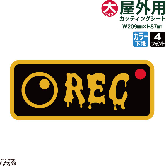 ̵ۥ顼դ/ɥ쥳RECĹ(祵)ž̼åƥ󥰥ƥåɻ/ȡкˡڥץۡڥ᡼б