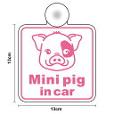 yz ^CvzMini pig in car@p^~ju^Ă܂ ~ju^ u^ GL]`bNAj}  Animal 킢 V[  Vv ړ a@ ʉ@ s o  h S ^] 㑱 Z[teB yV ʔ́yύXΏۏiz