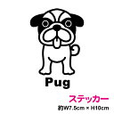 パグ(単体) ステッカー おしゃれでかわいい シール 犬 ペット 愛犬 犬が乗ってます dog in car3000円以上の購入で送料無料!(ゆうパケット又は定...