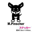 ミニチュアピンシャー(単体) ステッカー おしゃれでかわいい シール 犬 ペット 愛犬 犬が乗ってます dog in car3000円以上の購入で送料無料!(ゆ...
