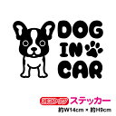 dog in car XebJ[  t`uhbO  킢  V[ ybg  yV ʔ