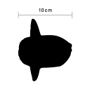 【 シルエット ステッカー 】 マンボウ 10cm3M(スリーエム) 海 魚 サーフボード 生き物 夏 水族館 かわいい 防水 傷隠し シール 車 カッティングステッカー カッティングシート バイク ヘルメット スノーボード 給油口 サーフボード 切り抜き 楽天 通販
