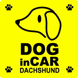 【マグネットステッカー】当店オリジナルdog in car：ミニチュアダックスフンド角型ドッグインカー 犬 わんこが乗っています ペット 愛犬 ドライブ 【選べる3色！贈り物やプレゼントにも最適！】 楽天 通販