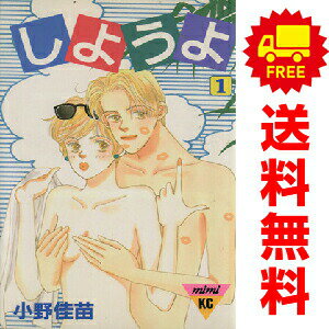 送料無料【中古】しようよ 1〜13巻 漫画 全巻セット 完結 KISS KC 小野佳苗 講談社（少女コミック）