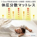 TAISコード取得済 HEALSPINE MAT(ヒルズファインマット...(3)