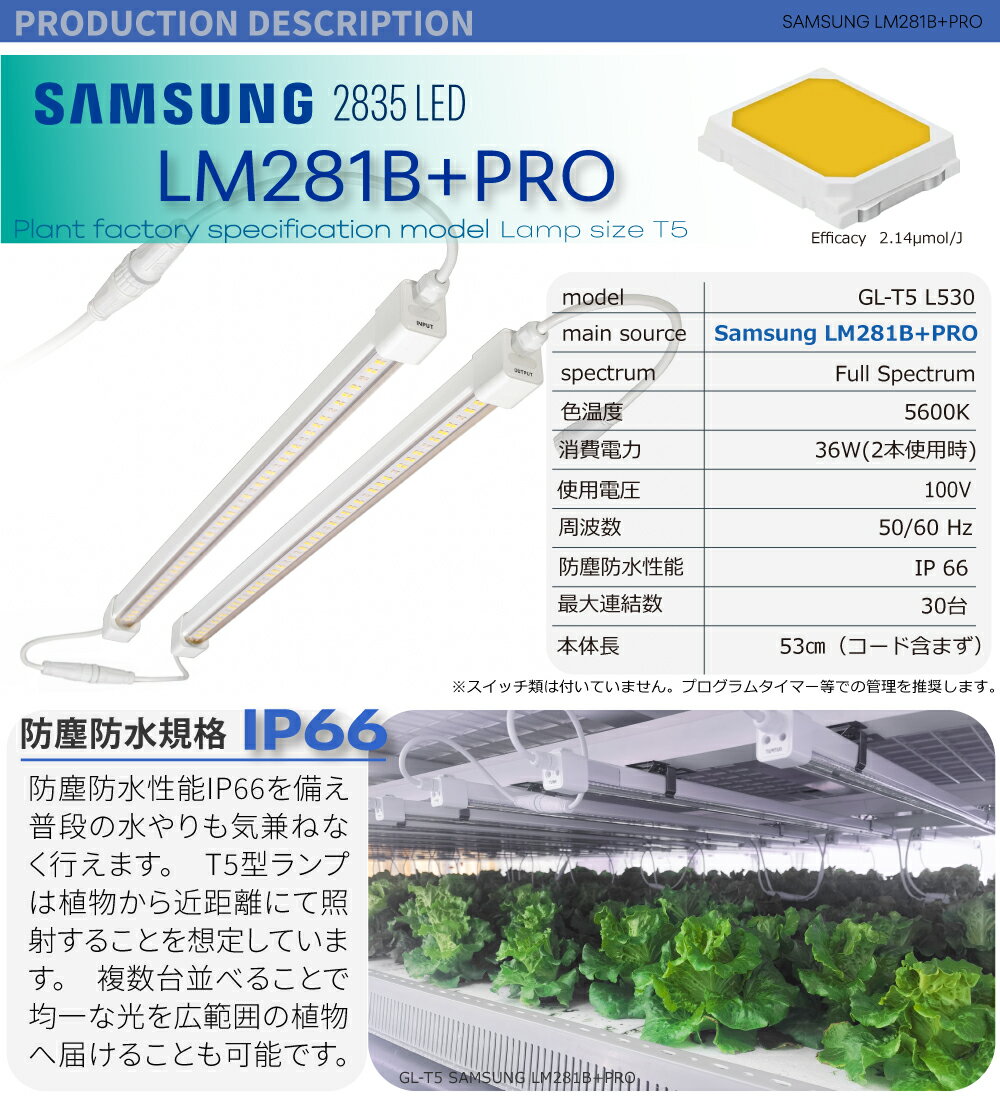 HaruDesign 植物育成LEDライト GL-T5 L530 18Wx2本 防塵防水性能IP66 野菜水耕栽培等の植物工場モデル 2