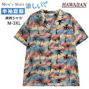 アロハシャツ メンズ アロハシャツ ハワイシャツ 開襟シャツ レディース 男女兼用 大きいサイズ 半袖 パーム シャツ 総柄シャツ カジュアルシャツ 男性シャツ...