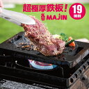 長水 遠赤 石焼ステーキ&ピザプレート 補強リング付 22cm(代引不可)【送料無料】