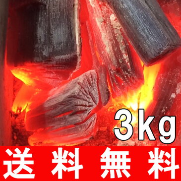 初心者でも使いやすい！おすすめ 切炭 3kg （岩手産） バーベキュー アウトドア に最適！ 【バーベキュー/BBQ/アウトドア/炭火料理/焼き鳥/焼肉/炭/木炭/黒炭/国産/岩手産/燃料/コンロ/グリル/火鉢】 tnr 母の日 父の日