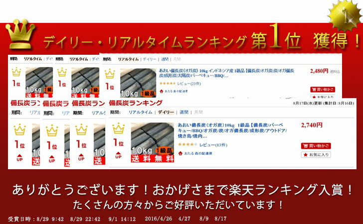 バーベキュー 炭 あおい備長炭（ オガ炭 ） 10kg 1級品 備長炭 オガ備長炭 BBQ bbq 成形炭 アウトドア 焼き鳥 焼肉 炭火焼 七輪 コンロ グリル 火鉢 業務用 飲食 店 燃料 キャンプ 煙 臭い 少ない 送料無料 tnr