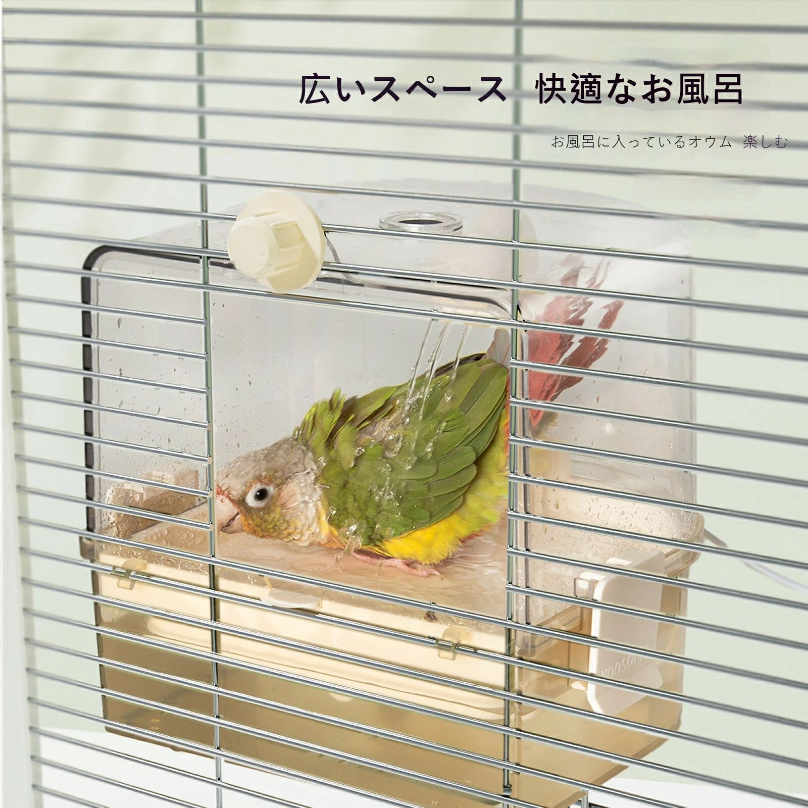 インコ 水浴び お風呂 循環フィルター付き（玄鳳 セキセイ ボタンインコ専用）バー...