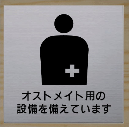 代引き手数料無料 トイレマーク 高級ステンレス 300 300 大きいサイズ トイレプレート 便所マーク 便所プレート 金属 Bigサイズ ビッグサイズ マーク お手洗い Toilet Wc 化粧室 標識 看板 サイン プレート 便所 トイレ おしゃれ 15 大きい ビッグ サイズ Big ピクト