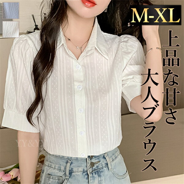 Rakuten - 【新規10%OFFクーポン有】シャツ トップス ブラウス レディース 半袖 ドット ステッチ 縦ライン レース 大人 カラー シンプル 春 夏 秋 韓国ファッション M L 清楚 ナチュラル きれいめ オフィスカジュアル 夏服 ブルベ 開襟シャツ 白 青 襟 オフィスカジュアル