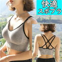 【全品対象10%OFF有】スポーツブラ スポブラ ヨガブラ ナイトブラ 育乳ブラ 見せブラ ノンワイヤー レース フリーサイズ ブラ 可愛い エロカワ セクシー...