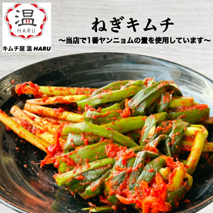【早い者勝ち! 最大2.000円OFFショップオープン記念】 ねぎキムチ (青ネギ)300g~1kg 【手作り人気の辛いキムチ】 美味しいキムチお取り寄せ【細葱キムチ送料無料】激辛キムチ鍋【人気のおいしいキムチ】辛党 大阪鶴橋修行【国産からいキムチおつまみ】細ねぎ 細ネギのサムネイル