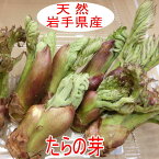 4月下旬より発送【2個ご注文で1個おまけ付き！】天然 たらの芽 100g【岩手県産】【山菜】