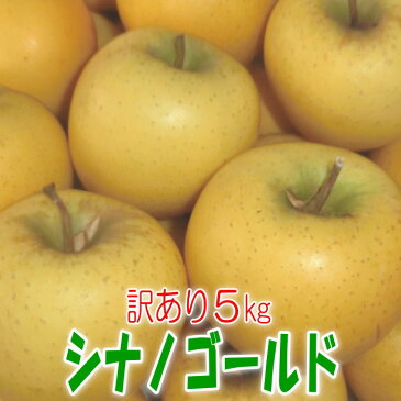 【送料無料】訳ありりんご　シナノゴールド5kg【岩手県産】【訳あり】【りんご】【家庭用】