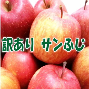 訳ありりんご サンふじ5kg【青森県産・岩手県産】【訳あり】【りんご】【家庭用】