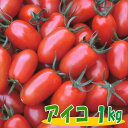 <7月中旬発送予定>訳ありミニマトマト アイコ(赤)1kg 岩手県産【国産】【訳あり】【ミニトマト】【トマト】