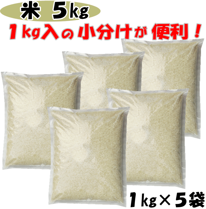 家庭応援！米 5kg（1kg×5）国産 ブレンド米 白米 精米 お米