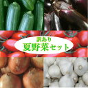 夏野菜セット5品種 訳あり ミニトマト 『アイコ』と『きゅうり』と『なす』と『たまねぎ』と『にんにく』岩手県産【国産】【訳あり】【ミニトマト】【アイコ】【きゅうり】【なす】