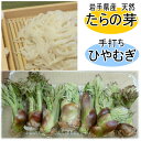 <この時期限定!>天然たらの芽と手打ちひやむぎ(生)4人前(つゆ付き)【山菜】【たらの芽】【国産】【手打ち】【生ひやむぎ】【山菜セット】【手打ちめん】【父の日】...