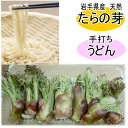 <この時期限定!>天然たらの芽と手打ちうどん(生)4人前(めんつゆ付き)【山菜】【たらの芽】【手打ち】【うどん】【山菜セット】【父の日】【母の日】