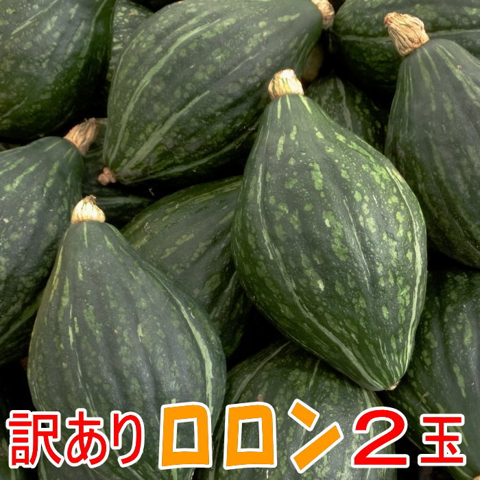 ＜8月上旬発送予定＞訳あり かぼちゃロロン　2玉（約4kg前後）岩手県産【かぼちゃ】【国産】