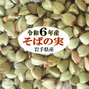 そばの実900g(450g×2) 岩手県産 グルテンフリー 丸抜き 国産