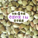 そばの実1kg(500g×2)【国産】【グルテンフリー】【丸