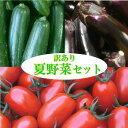 夏野菜セット3品種 訳あり ミニトマト 『アイコ』と『きゅうり』と『なす』岩手県産【国産】【訳あり】【ミニトマト】【アイコ】【きゅうり】【なす】