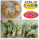 <この時期限定!>天然たらの芽と手打ちラーメン(生)&比内地鶏の塩スープ 4人前【山菜】【たらの芽】【山菜セット】【手打ちめん】【ラーメン】【塩ラーメン】【比内...
