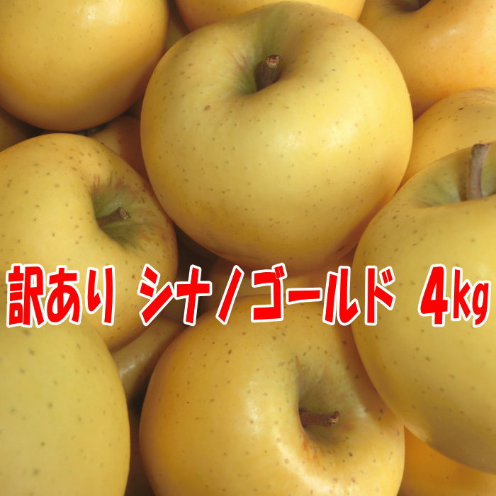 訳ありりんご シナノゴールド4kg 青森県産 訳あり りんご 家庭用(4)