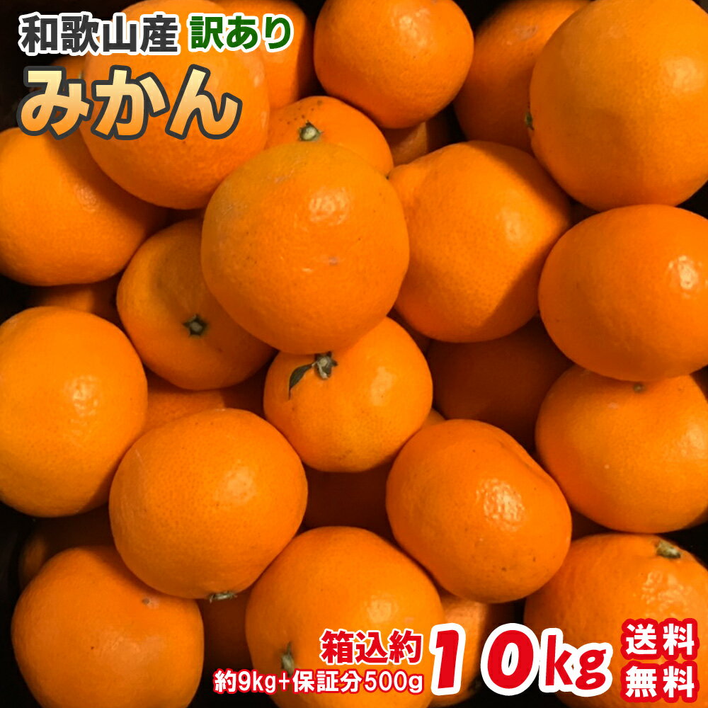 みかん 訳あり 10kg（箱込約10kg）和歌山県産 ご家庭用 送料無料（北海道・沖縄除く） ミカン 蜜柑 温州みかん 10キロ 産地直送 紀州和歌山産 わけあり 柑橘 フルーツ 果物