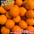 【2023年最新】訳ありみかん箱(5kg/10kgなど)美味しそうなおすすめを教えて！