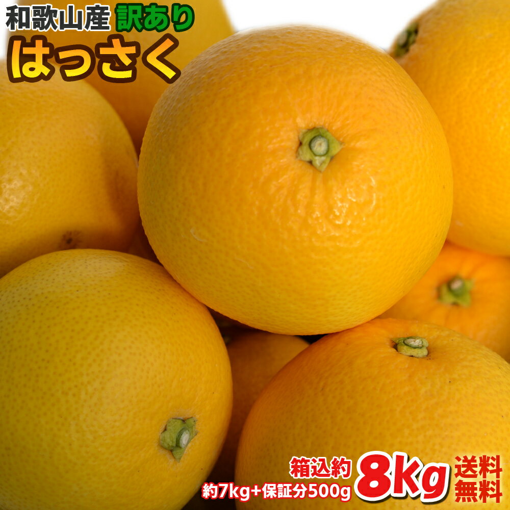 【訳あり】はっさく 八朔 和歌山県産 8kg（箱込約8kg） ご家庭用 送料無料（北海道・沖縄除く）