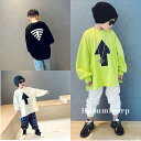 子供服 Tシャツ キッズ男の子女の子 韓国子ども服 ゆとり長袖丸い襟 パーカートップス おしゃれ スウェット 春秋 ジュニア カジュアル 可愛い 普段着 通学着3色