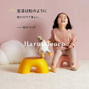 椅子 大人 子供用 トイレ踏み台 浴室 小さい椅子PP キッズ ローチェア 子供 椅子 キッズ 椅子 ロースツール スツール 子供 イス おもちゃを収納できます足置き スツール ミニスツール 玄関 椅子 プラスチック 積み重ね おしゃれ かわいい いす 子供部屋 幼稚園 送料無料(3)