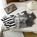 セットアップ キッズ 兄妹 子供服 ジャージ 上下セット ジュニア ベビー服 女の子 男の子 tシャツ 半袖 ショートパンツ おしゃれ 可愛い スポーツ トップ...