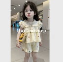 セットアップ キッズ ベビー服 女の子 新生児 シャツ ショートパンツ 子供服 夏服 上下セット 赤ちゃん 韓国風 子ども服 おしゃれ 可愛い 誕生日 出産お祝...