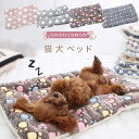 猫 犬 ベッド 冬 ペットベッド 猫 犬 クッション ベッド ふわふわ 冬 マット もぐる 洗える 暖かい あったか ふわふわ もちもち ケージ ペットベッド クッション 肉球 星柄 あったか ハウス ペット 冬マット(4)