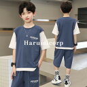 子供ジャージ 男の子 ジャージ キッズ 子供服 セットアップ 夏 tシャツ 綿 半袖 ハーフパンツ 半ズボン 韓国子供服 ジュニア ベビー服 スポーツ トレーナー 運動着 こども服 トップス ボトムス 学生 おしゃれ 可愛い カジュアル 新品 160cm 150cm 140cm 130cm 120cm