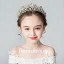 ヘアアクセサリー 子供 髪飾り キッズ ヘッドドレス 女の子 花冠 ティアラ ドレス髪飾り ピアノ 発表会 結婚式 卒業式 誕生日 ヘアバンド ヘアピン ブライダル かんざし フォーマル 記念写真 二次会 花火大会 こども プリンセス お姫様 可愛い おしゃれ 新品