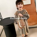 ワンピース キッズ 子供服 女の子 秋服 長袖 ワンピース 韓国子供服 ベビー服 子ども服 ガールズ おしゃれ 可愛い 子供ドレス 七五三 誕生日 結婚式 お姫様 プリンセス シンプル 誕生日 プレゼント 130cm 120cm 110cm 100cm 90cm(4)