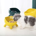 猫 食器 傾斜 300ML 陶器 フードボウル 猫用 犬用 食べやすい 高さがある ペット食器 おしゃれ 斜め ペット用 エサ皿 えさ皿 餌入れ エサ入れ えさ...