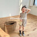 韓国子供服 セットアップ 女の子 tシャツ キッズ ハーフパンツ 子供服 春 夏 トップス シャツ 半ズボン チェック柄 おしゃれ 可愛い ベビー服 通学 通園 シンプル 誕生日 プレゼント 130cm 120 110 100 90 80